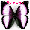 avatars-butterfly-565415.gif