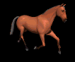 horsetrot.gif