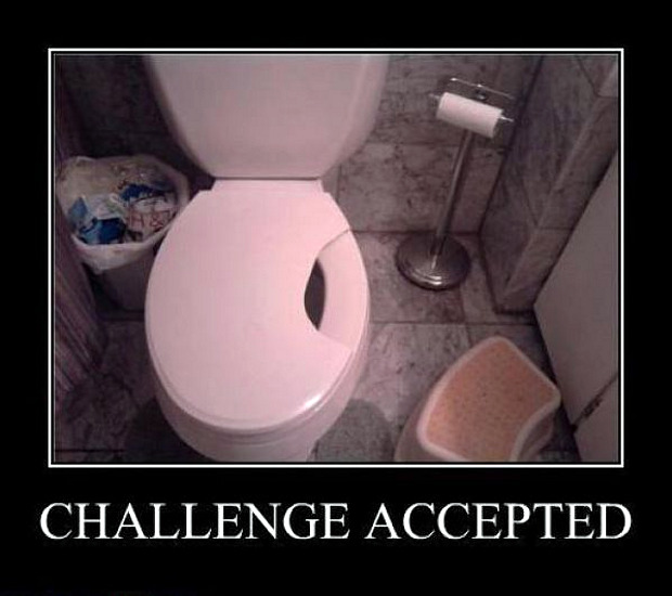demotivator_toilet-lid-challenge-accepted.jpg