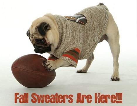 Fall+Sweaters.jpg
