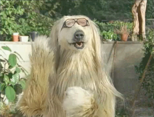 tumblr_lx9jba1QoY1qdrpdr1.gif