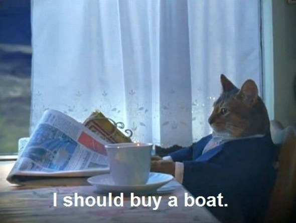 boat-cat-daydream.jpg