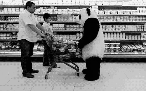 ani_grocery-cart-panda.gif
