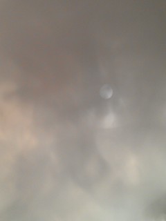 14808349309_e9784ebda9_n.jpg