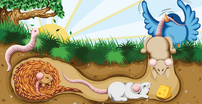 Of%20Worms-%20Mice%20and%20Birds.jpg