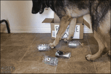 UYMFW5W.gif