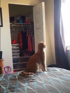 4c69352778182005fe41295b83e6033d.gif