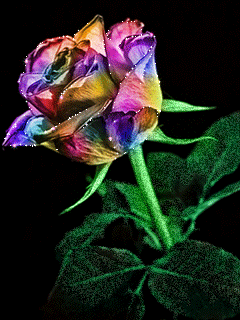 431c5bcf0ff4fca606d7ee59637ece96.gif