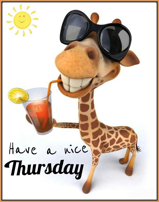 a0549d63384217ce7253d4921212f04f--giraffe-pics-funny-giraffe.jpg