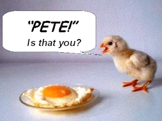 chicken-and-egg.gif