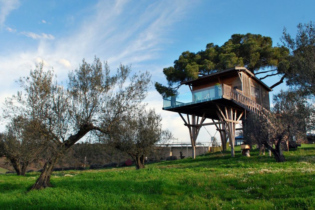 tree-house-6.jpg