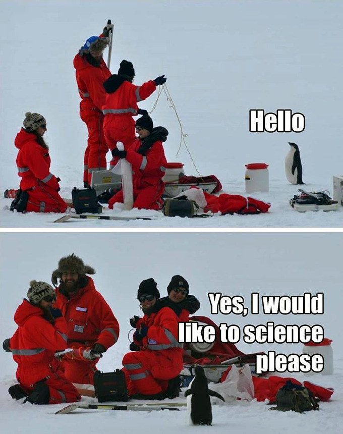penguin-wants-to-science.jpg