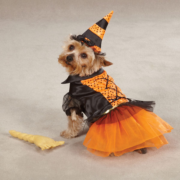 spellhound-witch-halloween-dog-costume-1.jpg