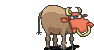RBuly4n.gif