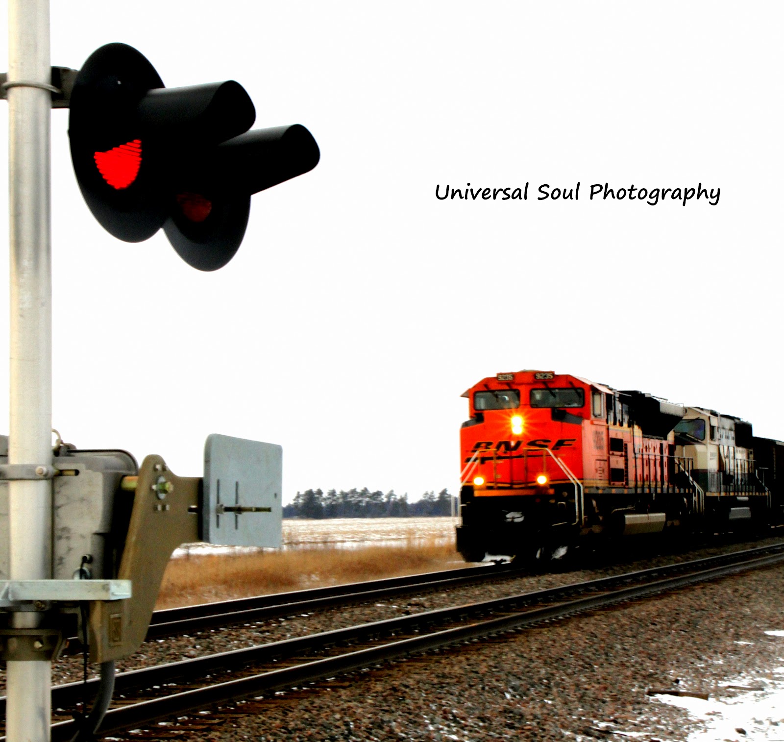 dream-train.jpg
