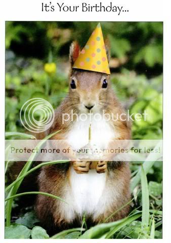birthday-squirrel.jpg