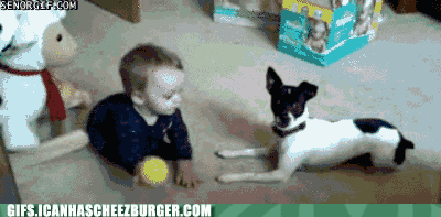 how-to-train-your-human