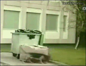 who-got-the-last-laugh