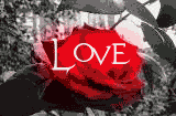 LOVE.gif