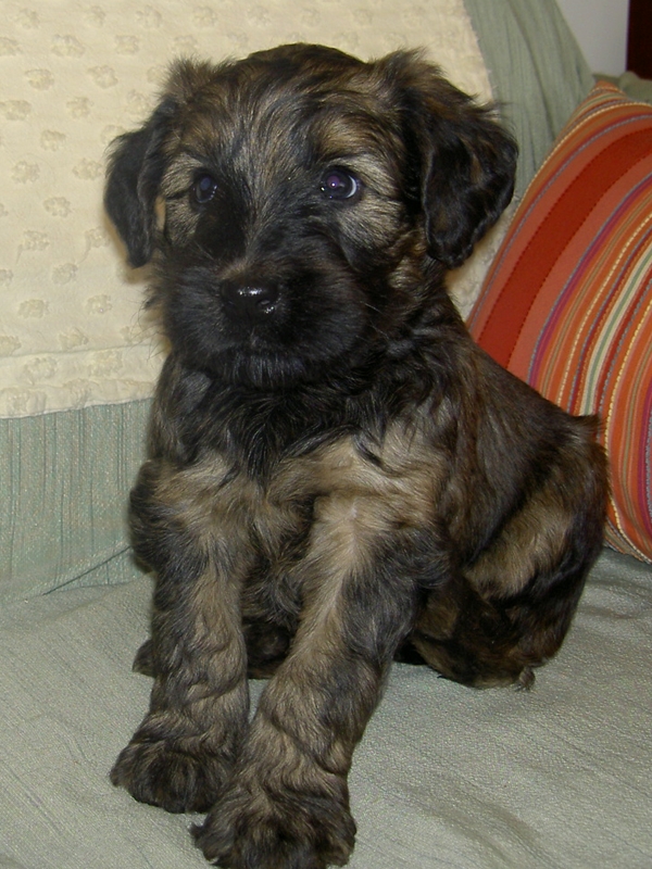 buzz_010911.JPG