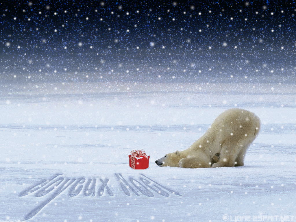 animated_polar_bear.gif