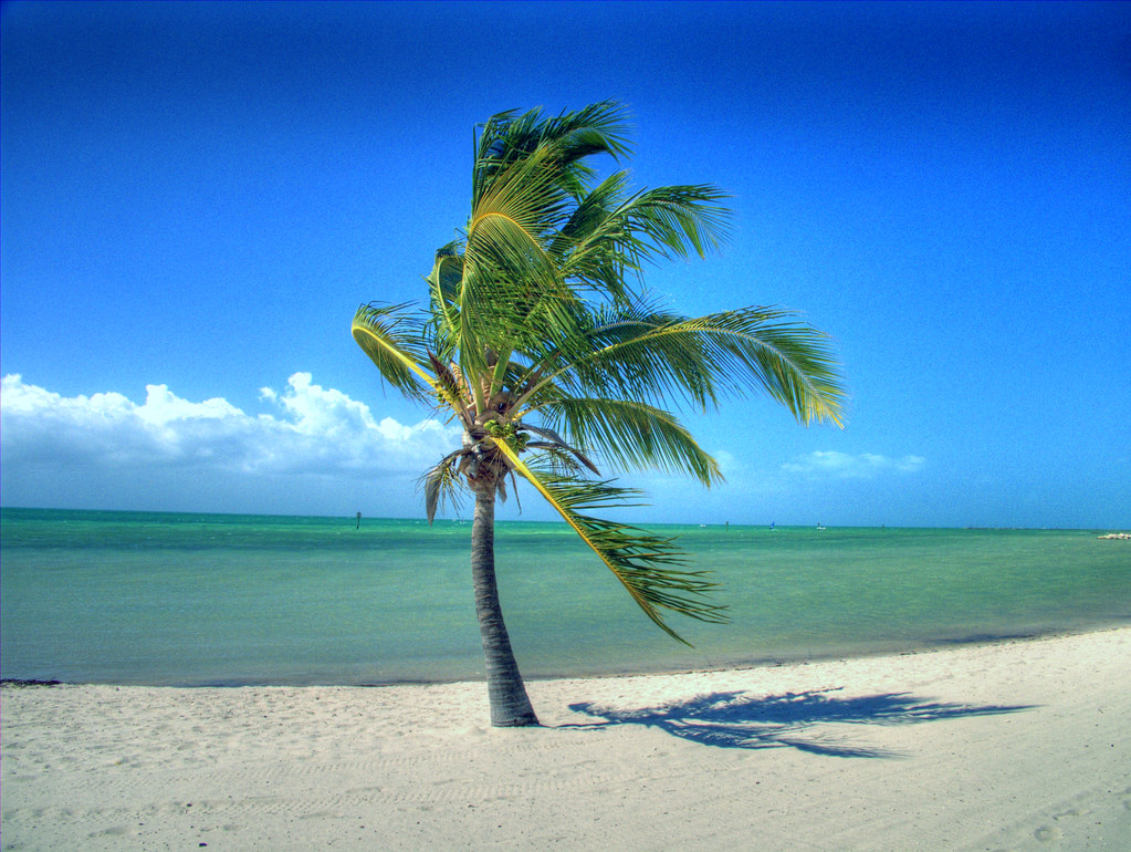 1699836745_b8de9752bd_b.jpg