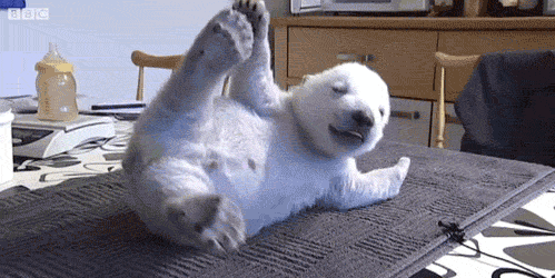 IuMWpRb.gif