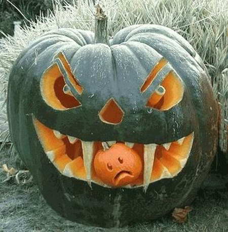 Giant-Pumpkin.jpg