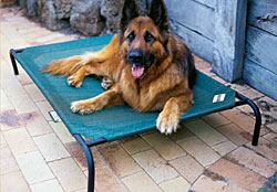 coolaroo-dog-bed_B.jpg