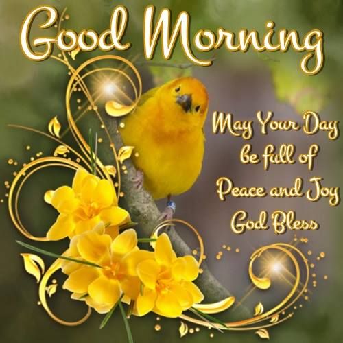52792b76cee0086747596e95a02cd9bd.jpg