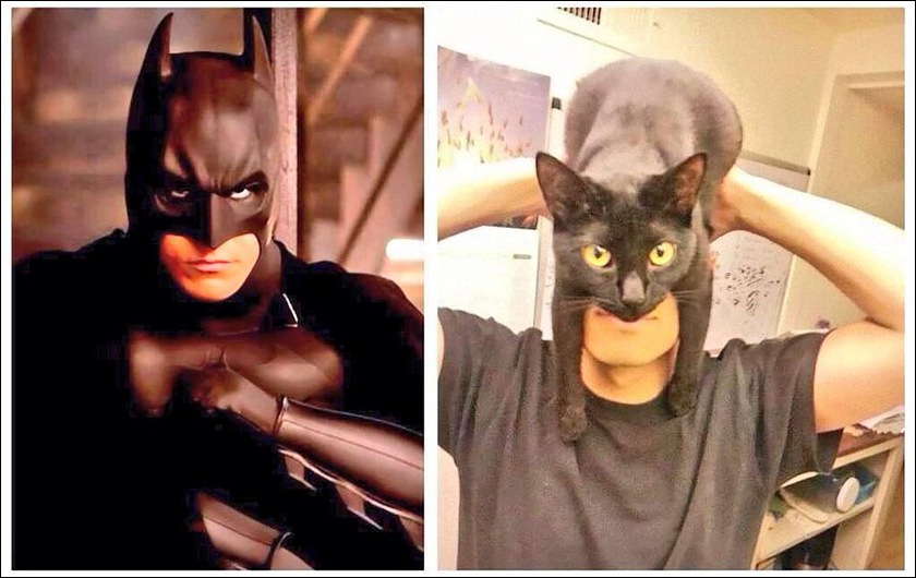 batman-cat-head.jpg