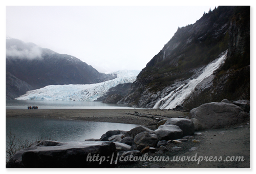 alaska-juneau-tongass-mendenhall-glacier-6.png