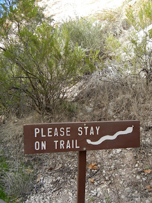 DSCN1547.JPG