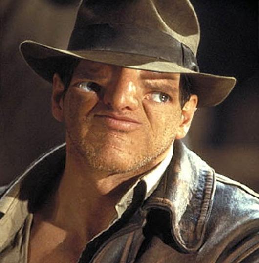 small_celebrity-sloth-facing9-1.jpg