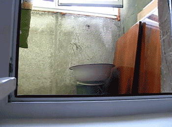 LKEv5.gif