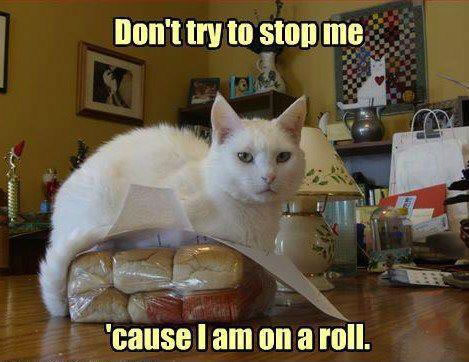 cat-on-a-roll.jpg