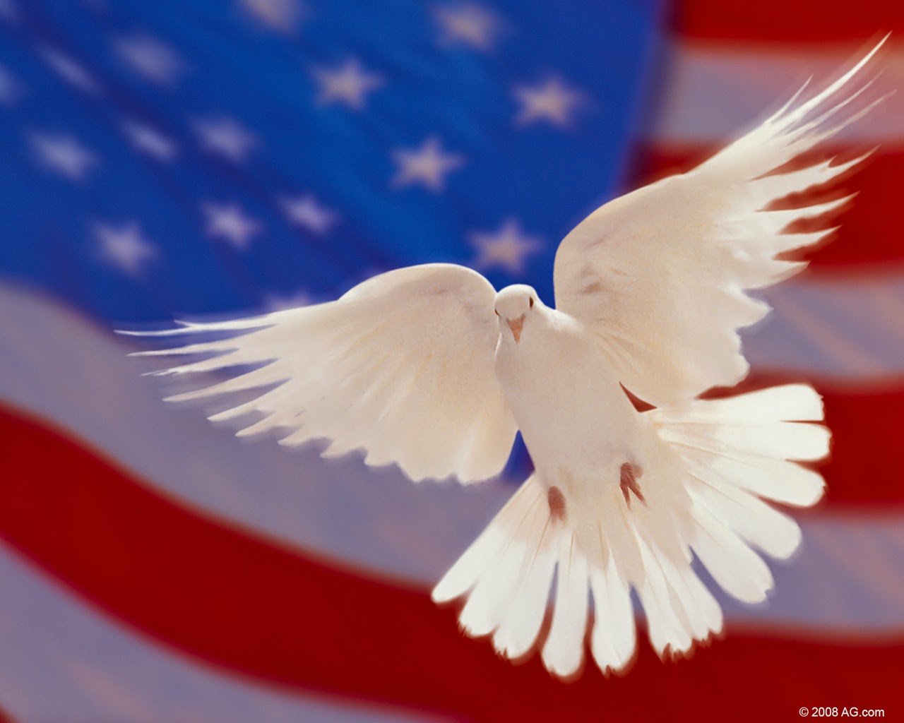Patriotic-Dove.jpg