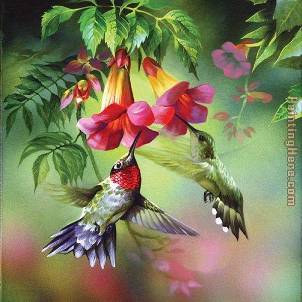 hummingbirds.jpg