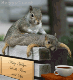 a423aa5a63476c25019f60a276eafc3f.gif