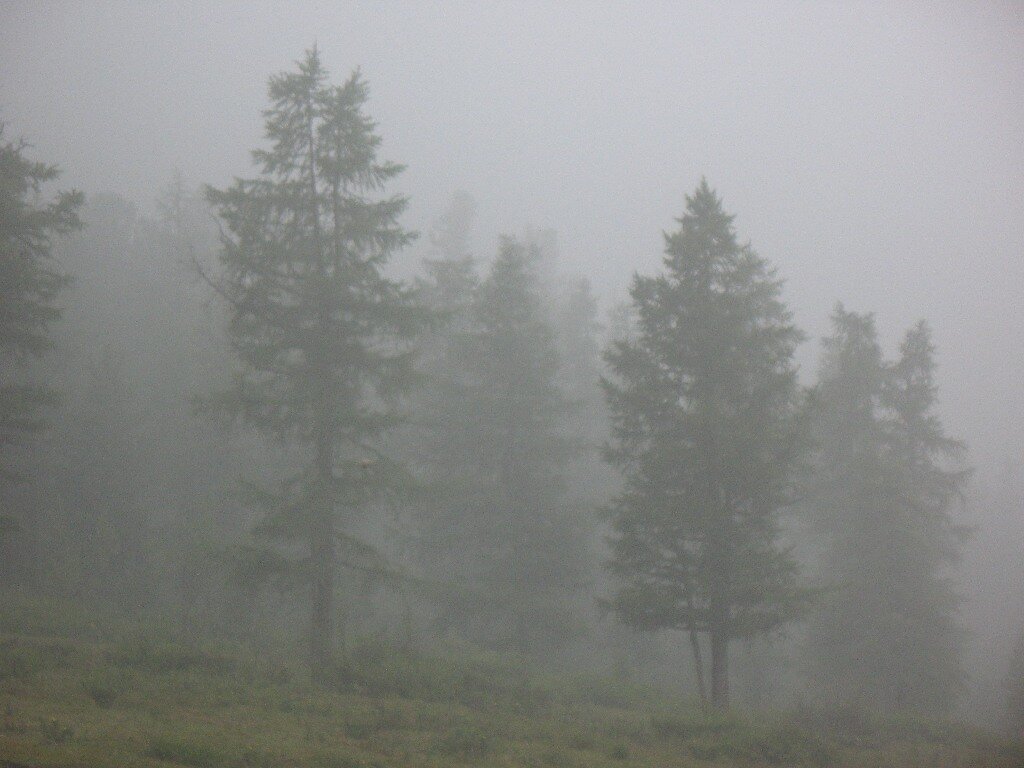 0_630a0_b3c505a9_XXL.jpg