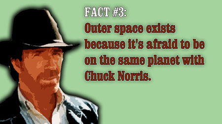 web-project-manager-master-chuck-norris.jpg