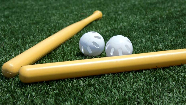 Wiffle_xuicm8b8_g6pwn1s6.jpg
