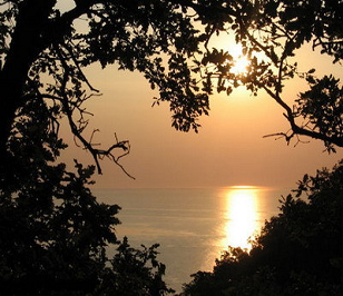 love-sunset-heart-shaped-opening-in-trees.png