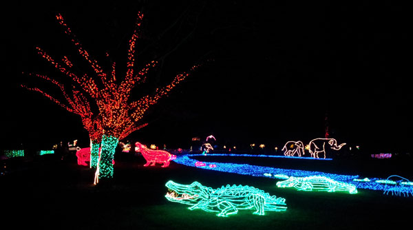 zoolights-croc.jpg