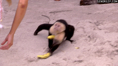 93742-510e3602b91c1bf209000000.gif