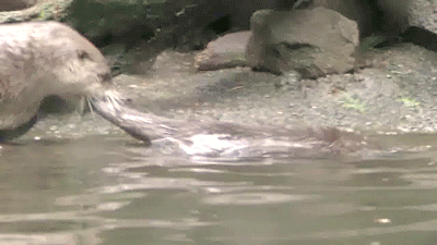 youre-done-swimming-today