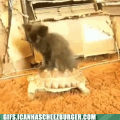 eYJ74xtxk0ypeMdlrk16tA2.gif