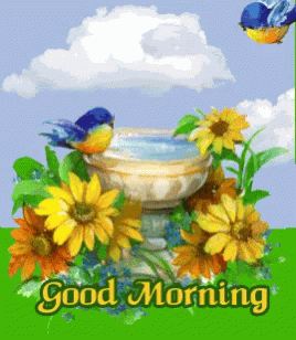 980cb32442011e93eea0d8fc04dedfa1.gif