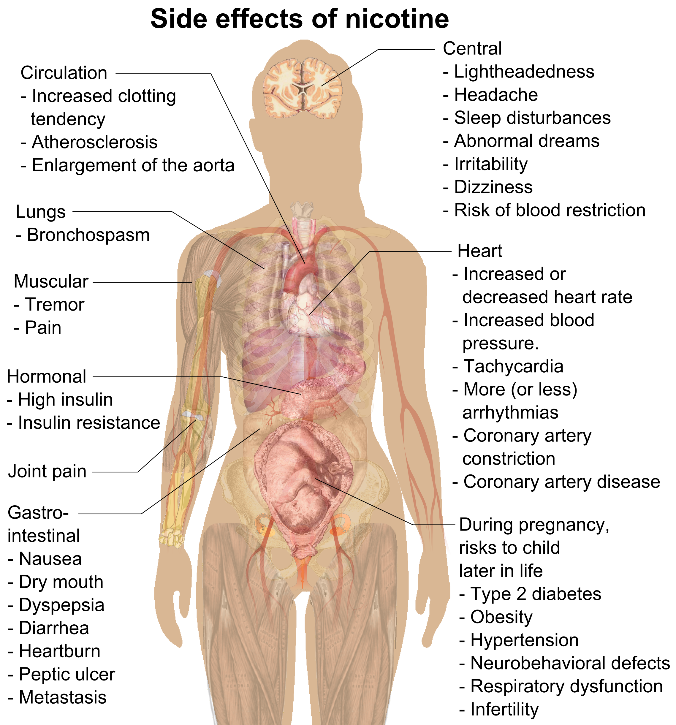 Side_effects_of_nicotine.png