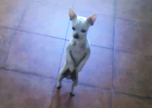 slide_303944_2588290_free.gif